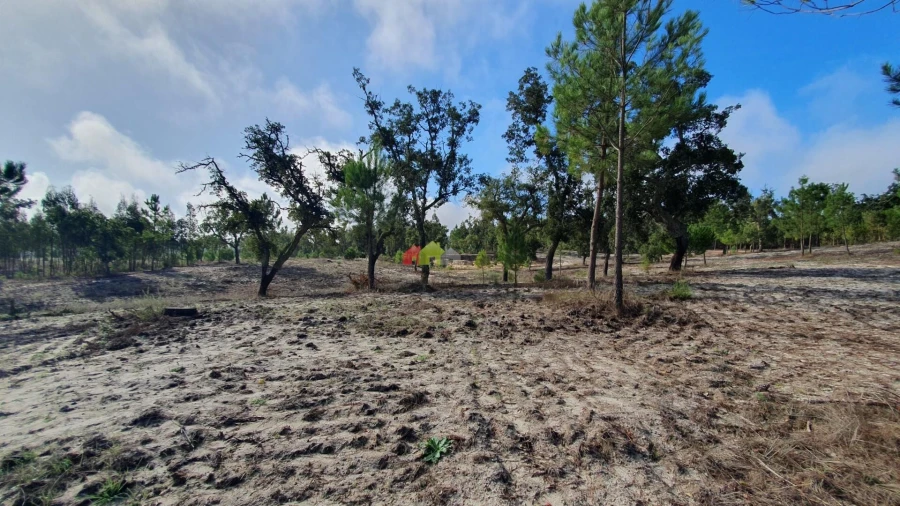 Terreno para Venda em Cortiçadas de Lavre e Lavre Foto 45