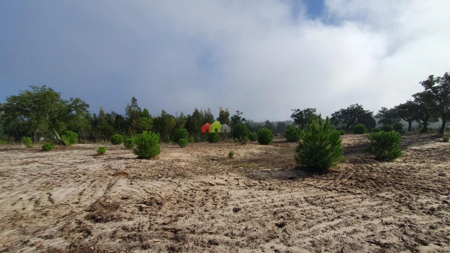Terreno para Venda em Cortiçadas de Lavre e Lavre Foto 23