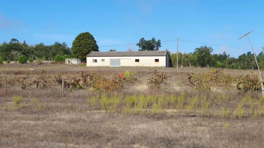 Terreno para Venda em Cortiçadas de Lavre e Lavre Foto 77