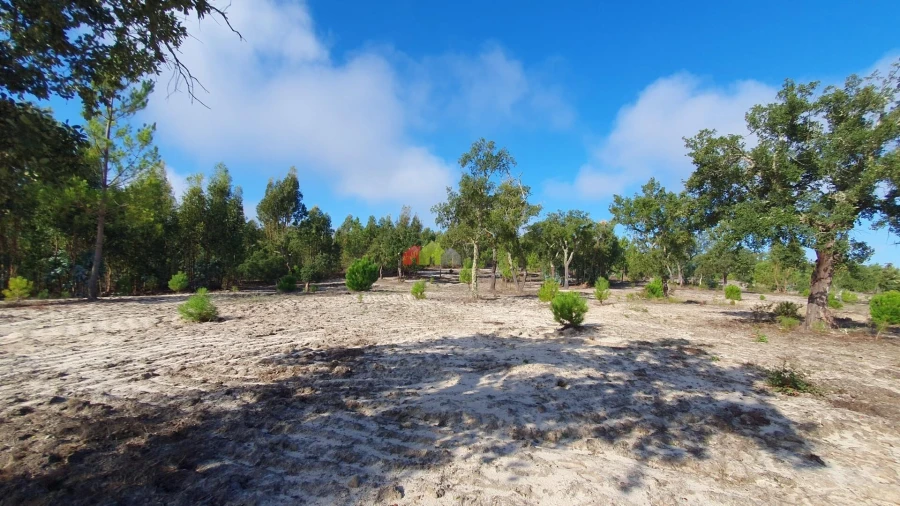 Terreno para Venda em Cortiçadas de Lavre e Lavre Foto 56