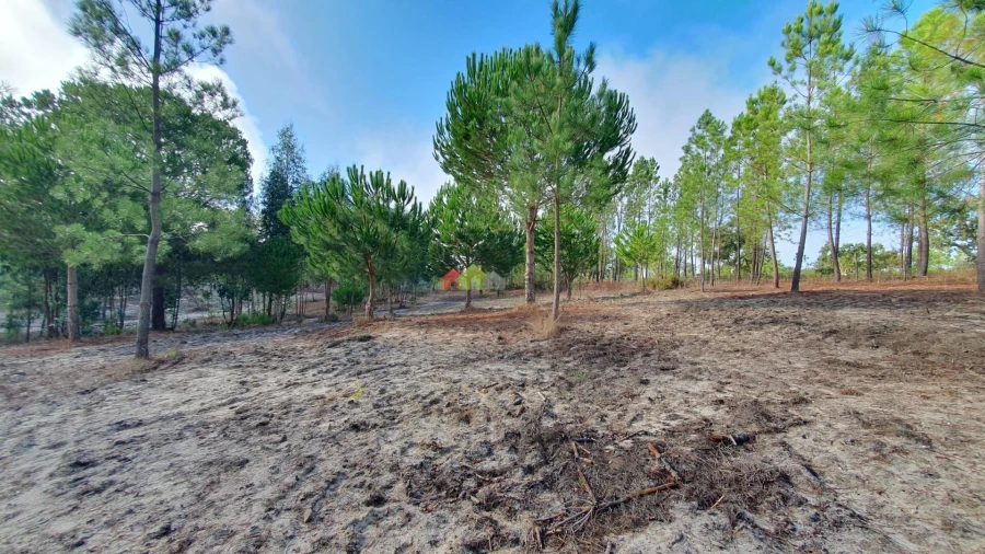 Terreno para Venda em Cortiçadas de Lavre e Lavre Foto 39