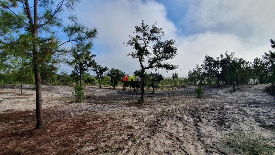 Terreno para Venda em Cortiçadas de Lavre e Lavre Foto 33