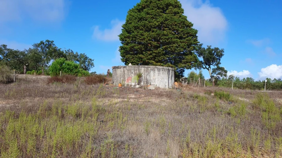 Terreno para Venda em Cortiçadas de Lavre e Lavre Foto 63