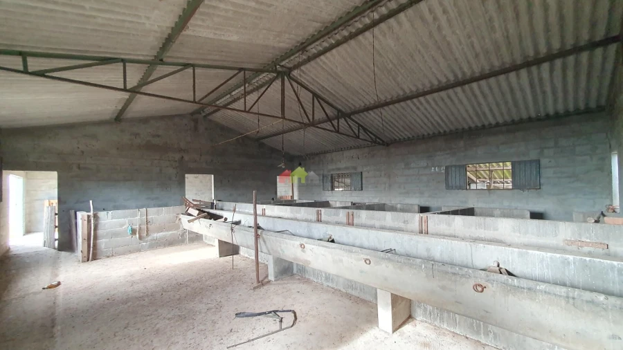 Terreno para Venda em Cortiçadas de Lavre e Lavre Foto 12