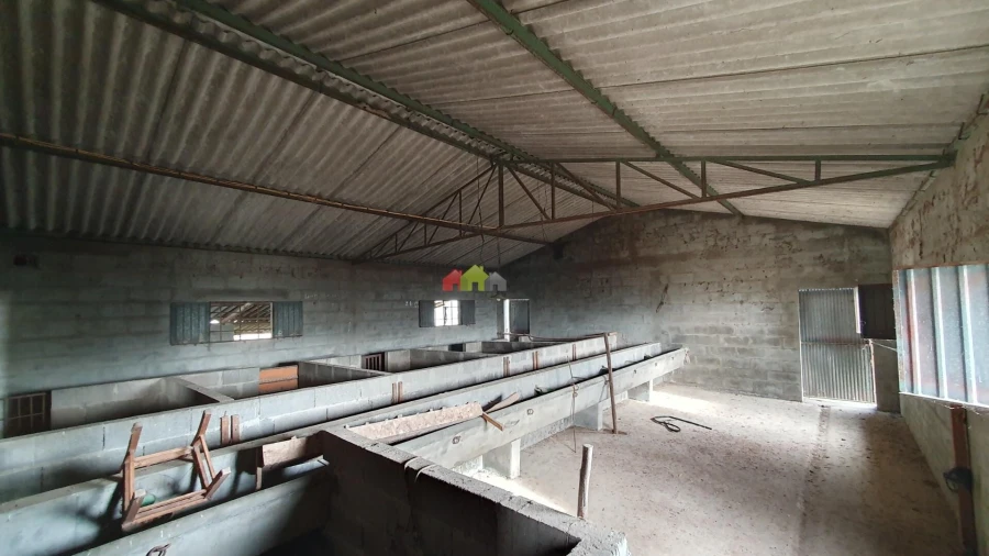 Terreno para Venda em Cortiçadas de Lavre e Lavre Foto 10