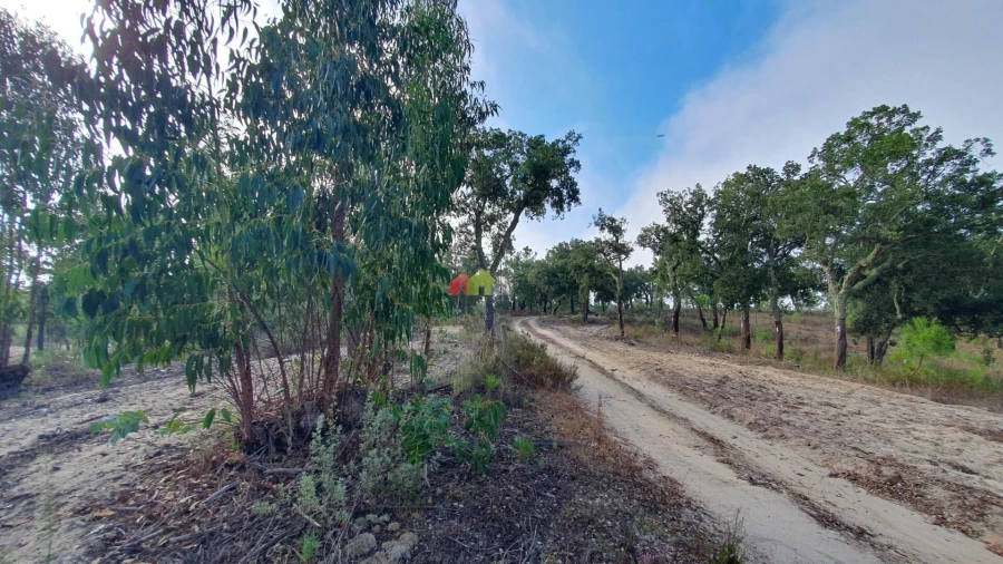 Terreno para Venda em Cortiçadas de Lavre e Lavre Foto 37