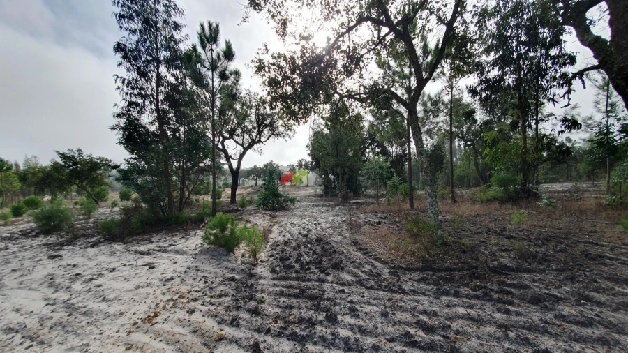 Terreno para Venda em Cortiçadas de Lavre e Lavre Foto 29