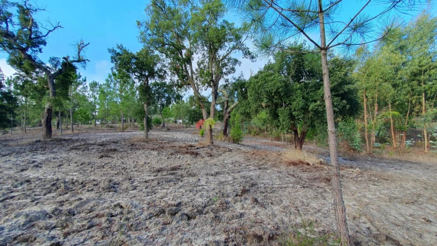 Terreno para Venda em Cortiçadas de Lavre e Lavre Foto 41