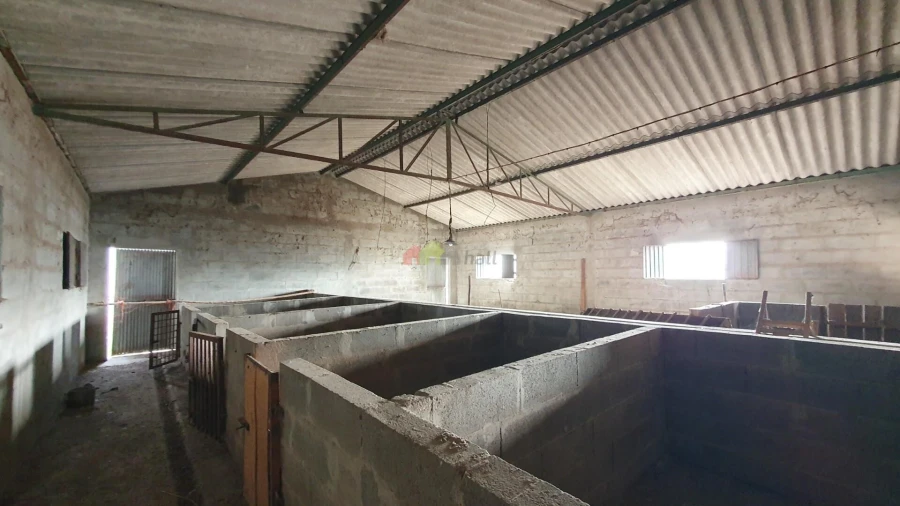 Terreno para Venda em Cortiçadas de Lavre e Lavre Foto 8