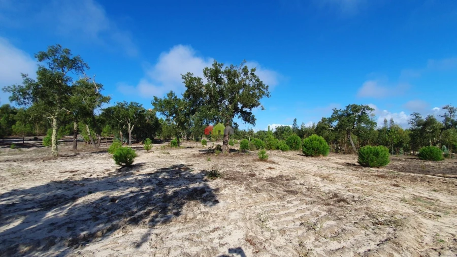 Terreno para Venda em Cortiçadas de Lavre e Lavre Foto 57