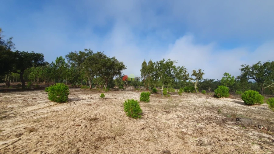 Terreno para Venda em Cortiçadas de Lavre e Lavre Foto 18