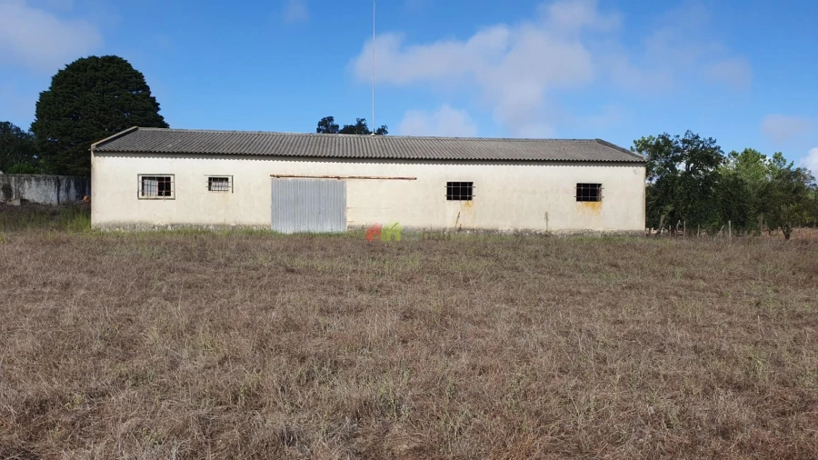 Terreno para Venda em Cortiçadas de Lavre e Lavre Foto 68