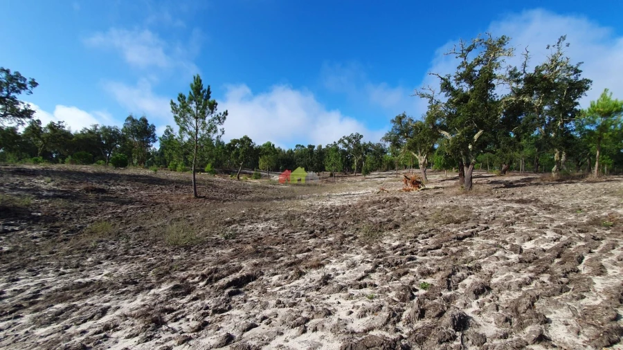 Terreno para Venda em Cortiçadas de Lavre e Lavre Foto 47