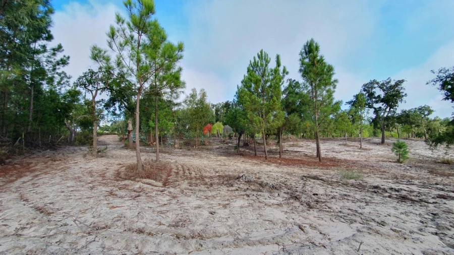 Terreno para Venda em Cortiçadas de Lavre e Lavre Foto 32