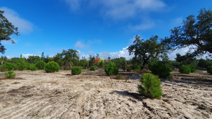 Terreno para Venda em Cortiçadas de Lavre e Lavre Foto 58