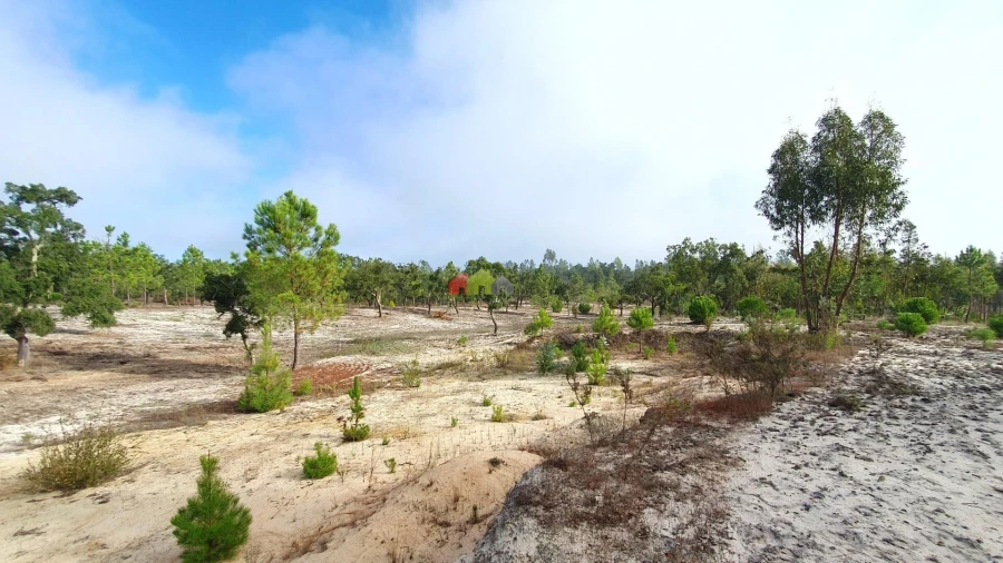 Terreno para Venda em Cortiçadas de Lavre e Lavre Foto 27