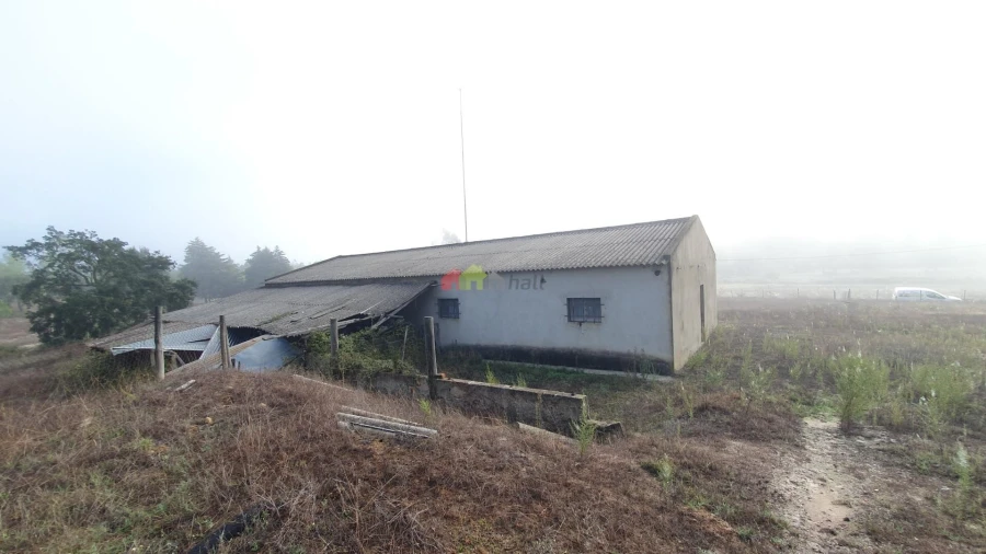 Terreno para Venda em Cortiçadas de Lavre e Lavre Foto 13