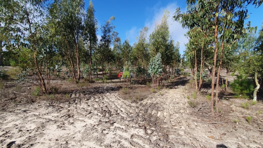 Terreno para Venda em Cortiçadas de Lavre e Lavre Foto 52