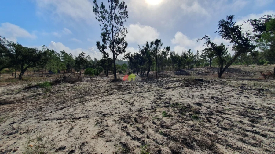 Terreno para Venda em Cortiçadas de Lavre e Lavre Foto 44