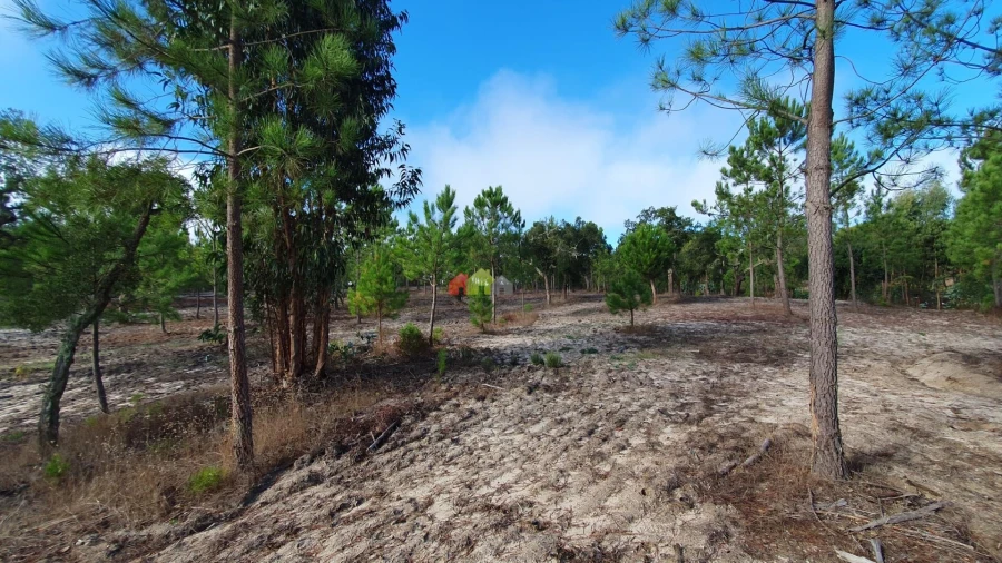Terreno para Venda em Cortiçadas de Lavre e Lavre Foto 43