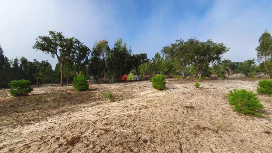 Terreno para Venda em Cortiçadas de Lavre e Lavre Foto 20