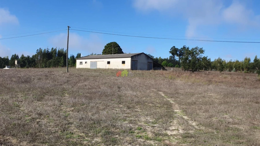 Terreno para Venda em Cortiçadas de Lavre e Lavre Foto 70