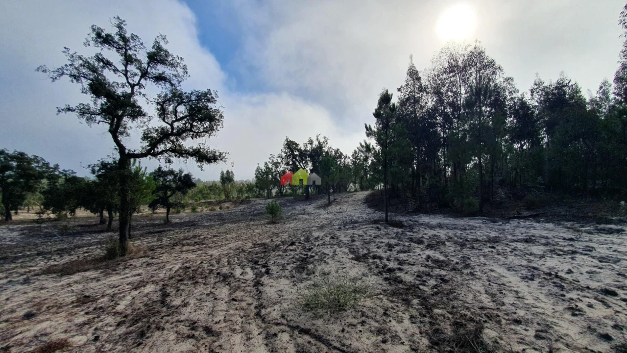Terreno para Venda em Cortiçadas de Lavre e Lavre Foto 34