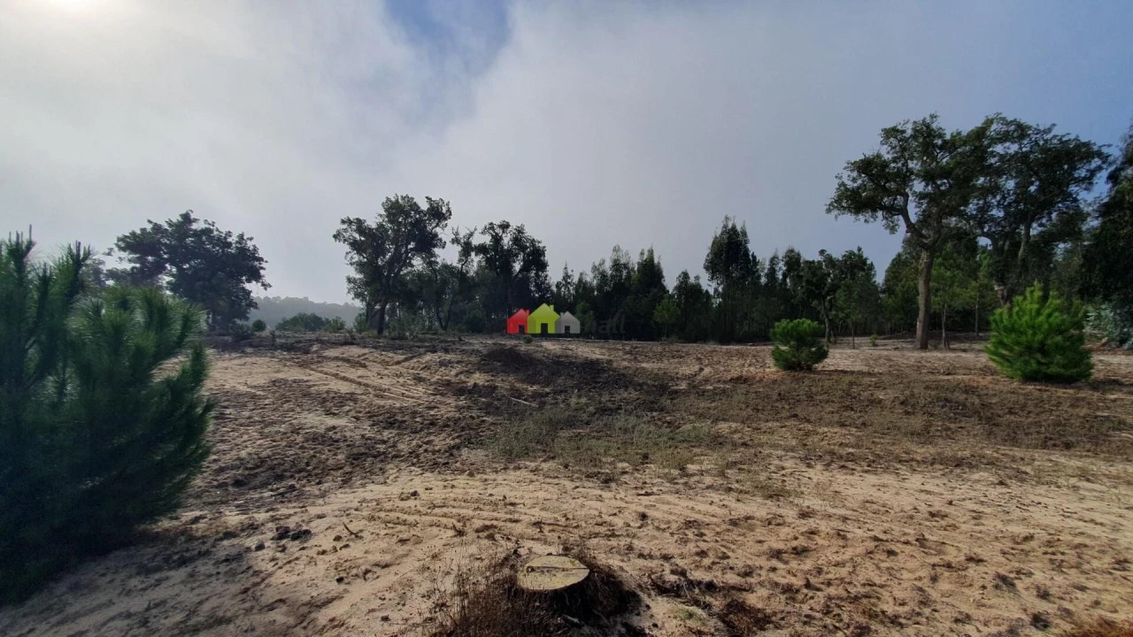 Terreno para Venda em Cortiçadas de Lavre e Lavre Foto 21