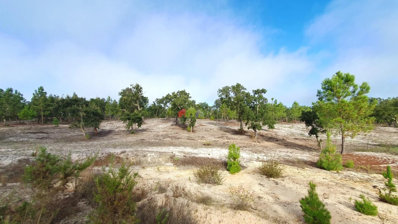 Terreno para Venda em Cortiçadas de Lavre e Lavre Foto 26