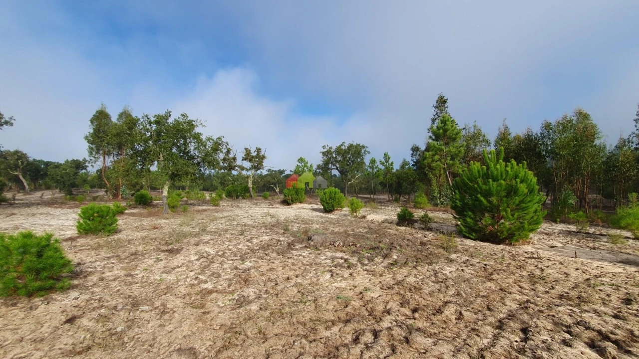 Terreno para Venda em Cortiçadas de Lavre e Lavre Foto 19