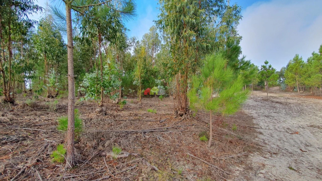 Terreno para Venda em Cortiçadas de Lavre e Lavre Foto 31