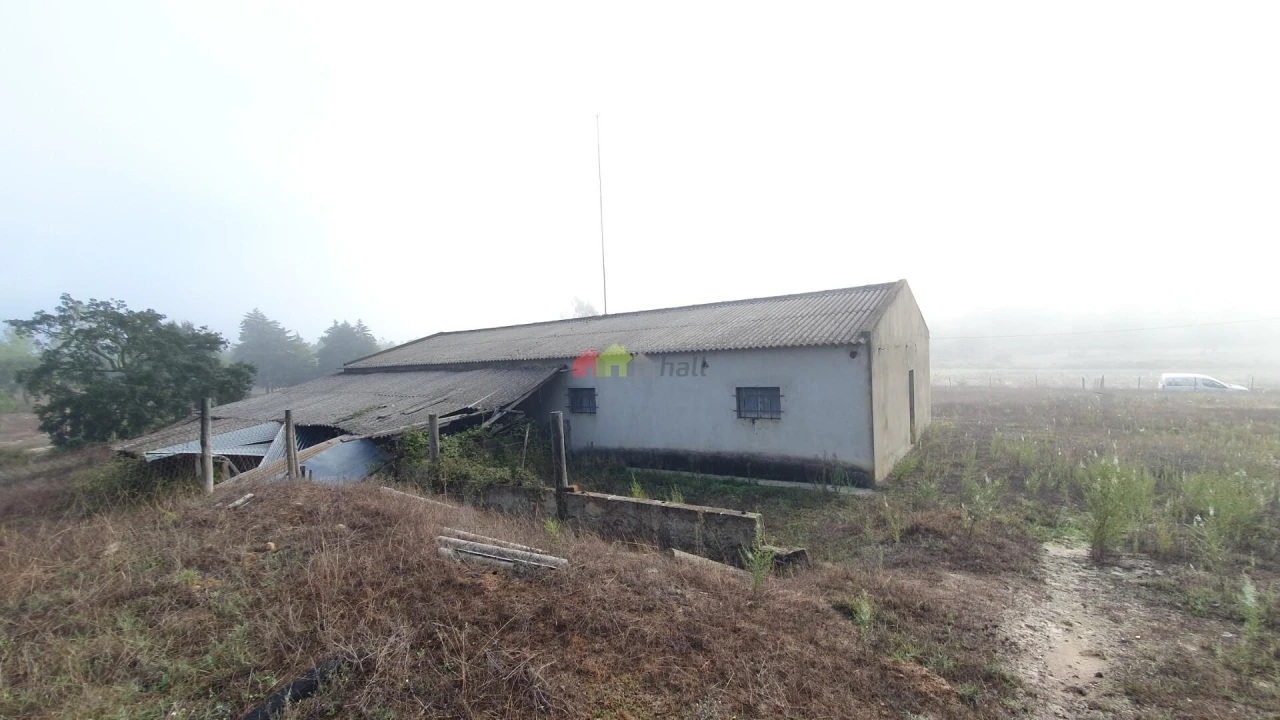 Terreno para Venda em Cortiçadas de Lavre e Lavre Foto 13