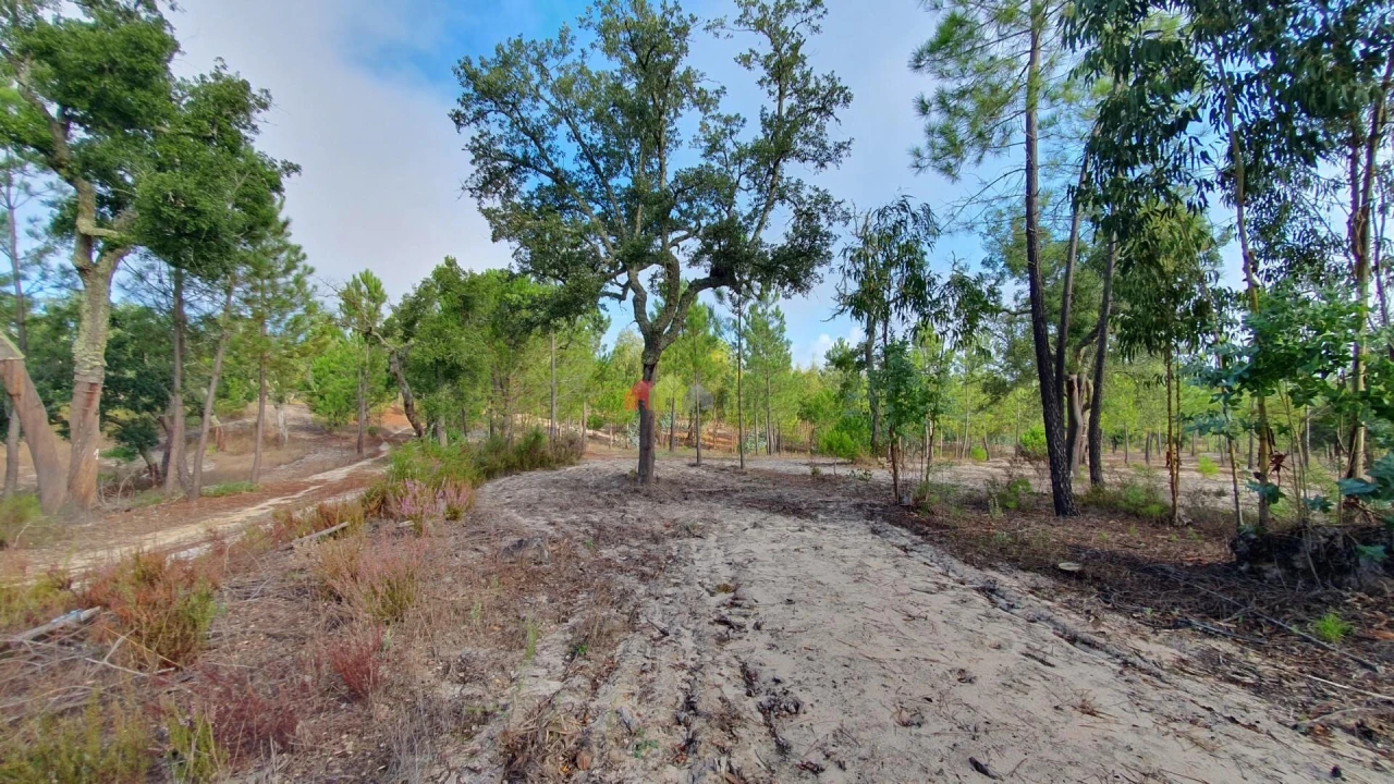 Terreno para Venda em Cortiçadas de Lavre e Lavre Foto 36
