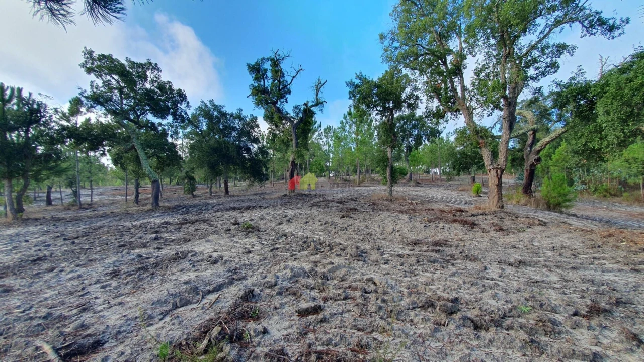 Terreno para Venda em Cortiçadas de Lavre e Lavre Foto 40