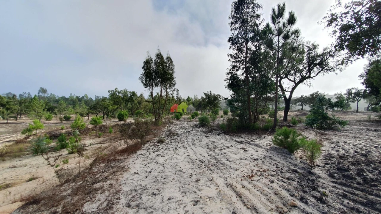 Terreno para Venda em Cortiçadas de Lavre e Lavre Foto 28