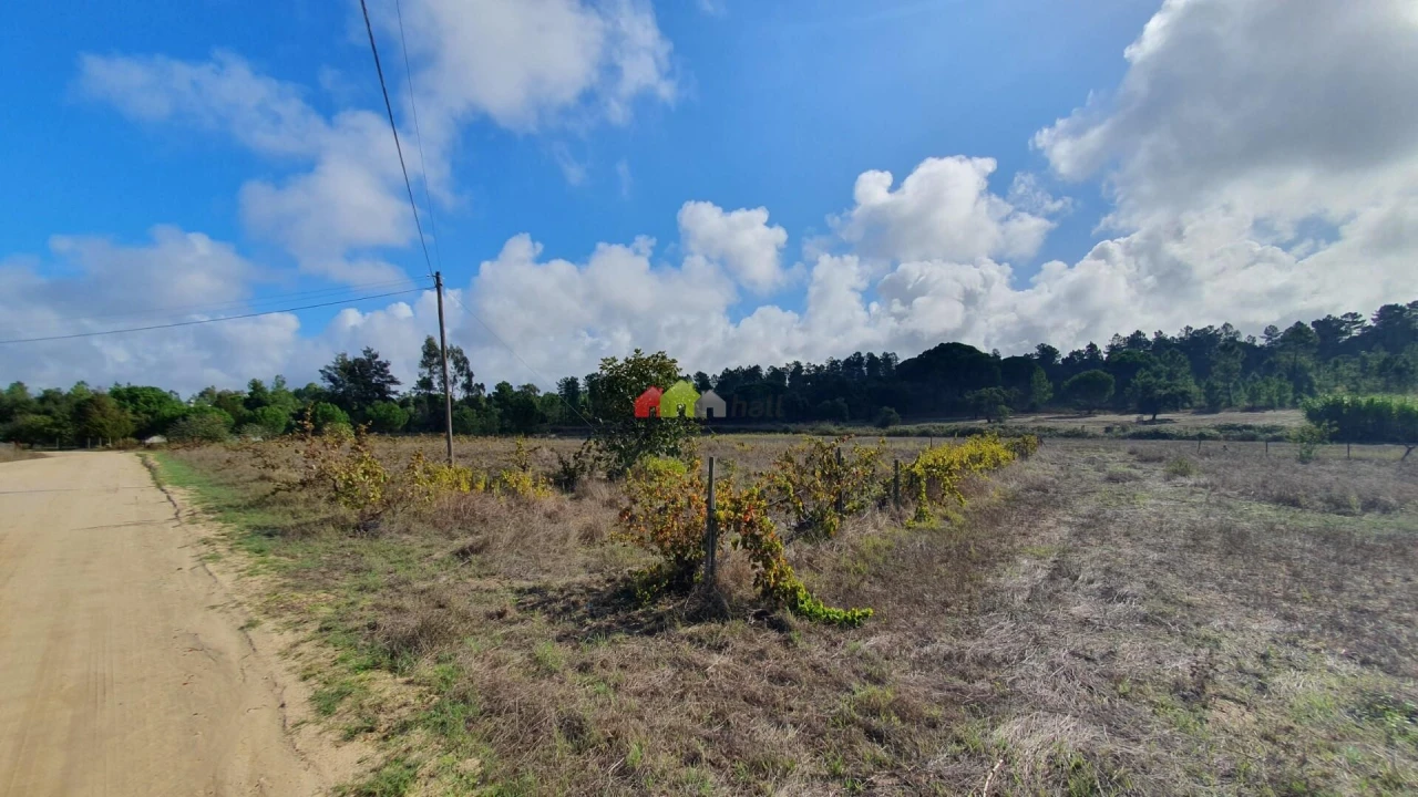 Terreno para Venda em Cortiçadas de Lavre e Lavre Foto 82