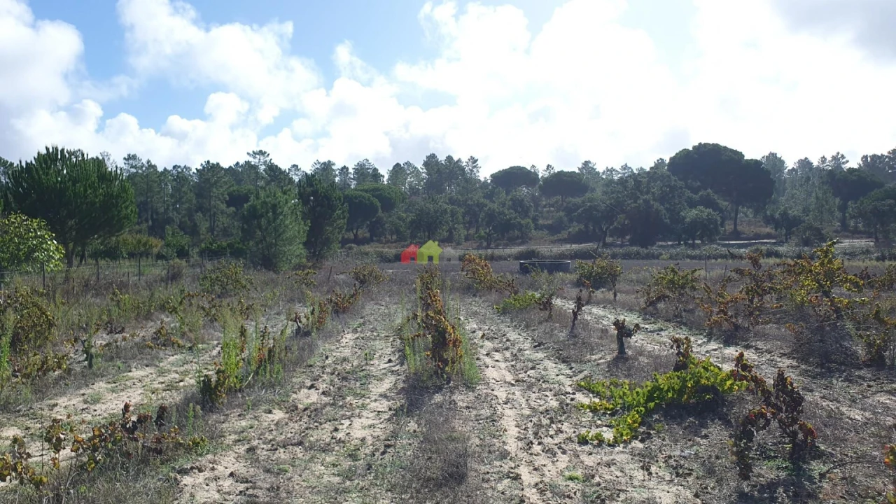 Terreno para Venda em Cortiçadas de Lavre e Lavre Foto 71