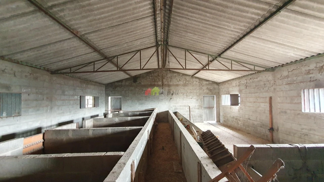 Terreno para Venda em Cortiçadas de Lavre e Lavre Foto 9