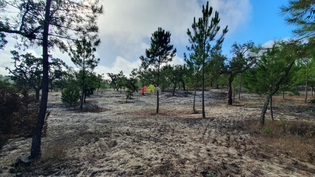 Terreno para Venda em Cortiçadas de Lavre e Lavre Foto 42