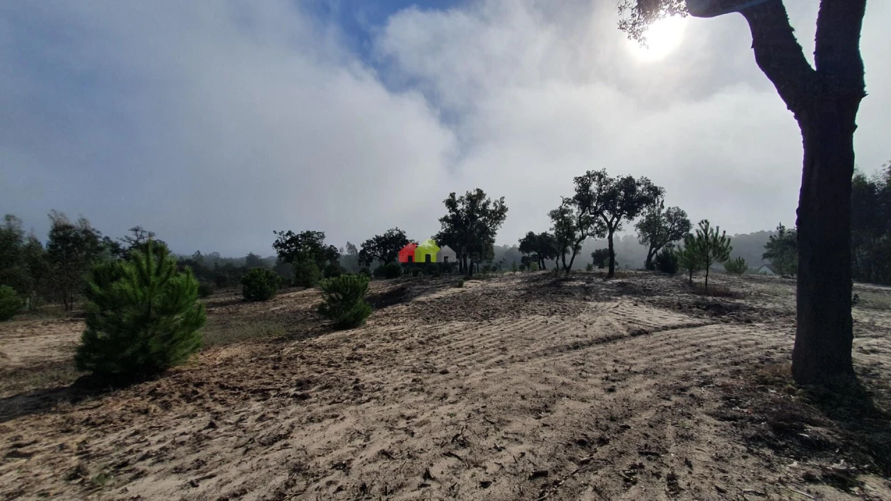 Terreno para Venda em Cortiçadas de Lavre e Lavre Foto 22