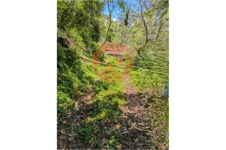 Terreno para Venda em Manadas (Santa Barbara) Foto 5