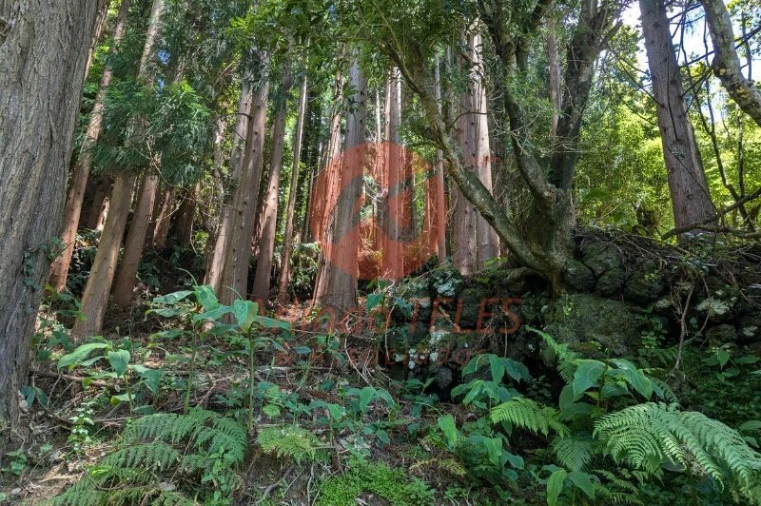 Terreno para Venda em Manadas (Santa Barbara) Foto 2