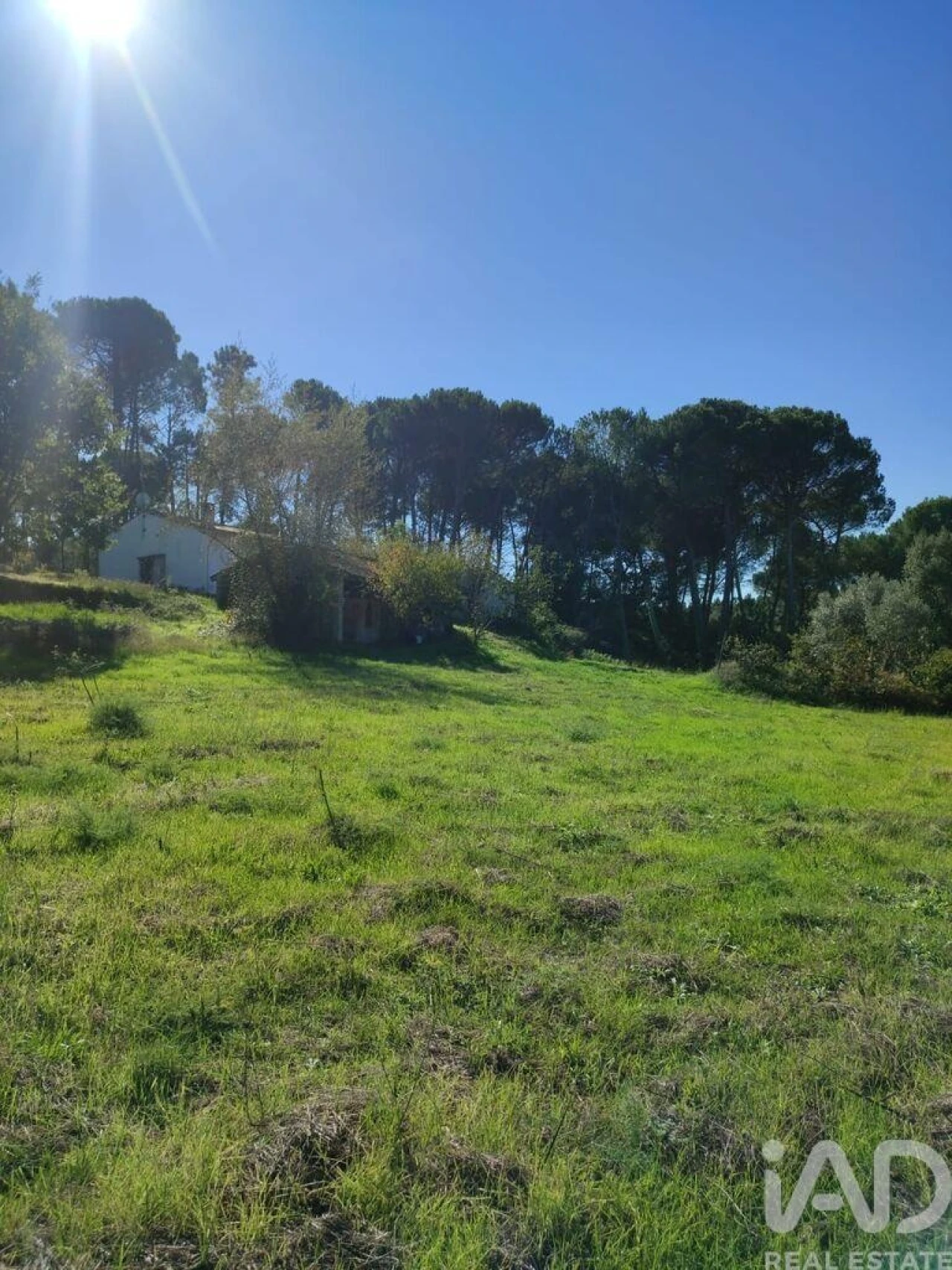 Moradia T2 para Venda em Midões Foto 1