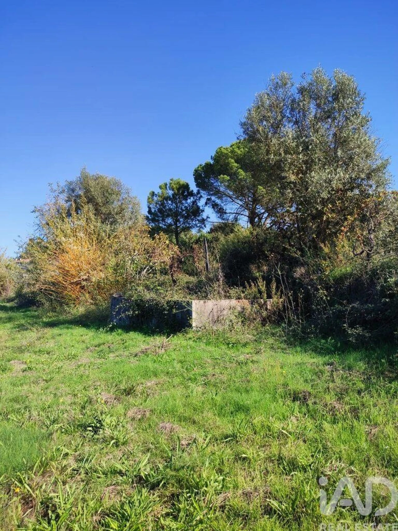 Moradia T2 para Venda em Midões Foto 10