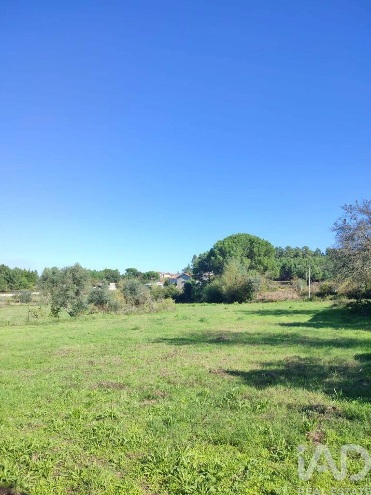 Moradia T2 para Venda em Midões Foto 8