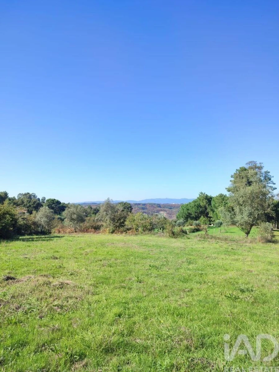 Moradia T2 para Venda em Midões Foto 14