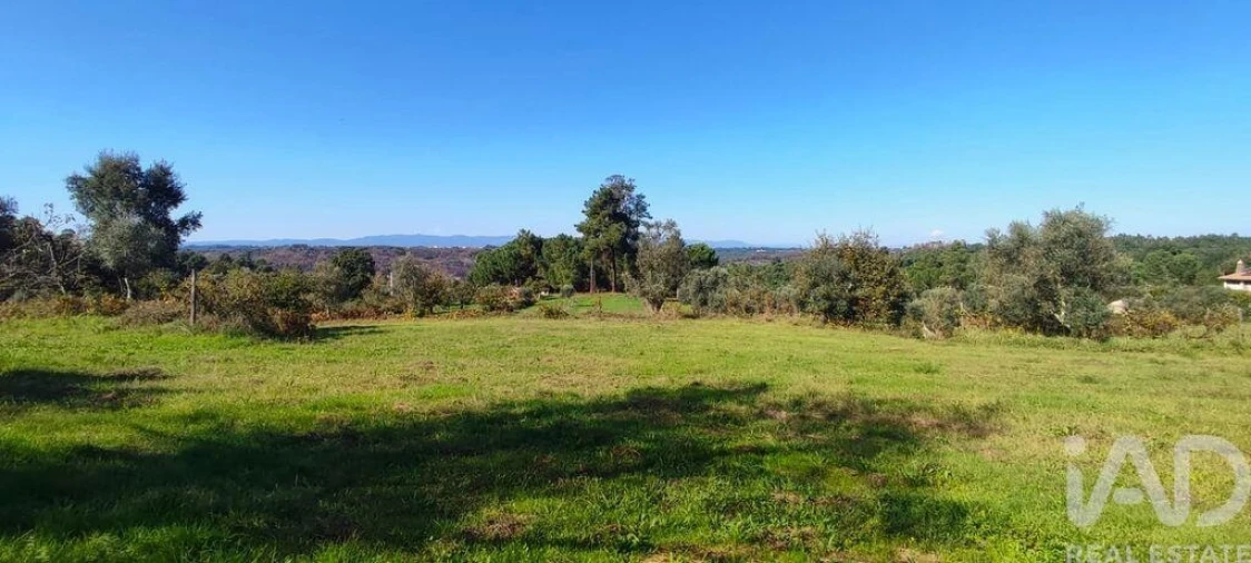 Moradia T2 para Venda em Midões Foto 9