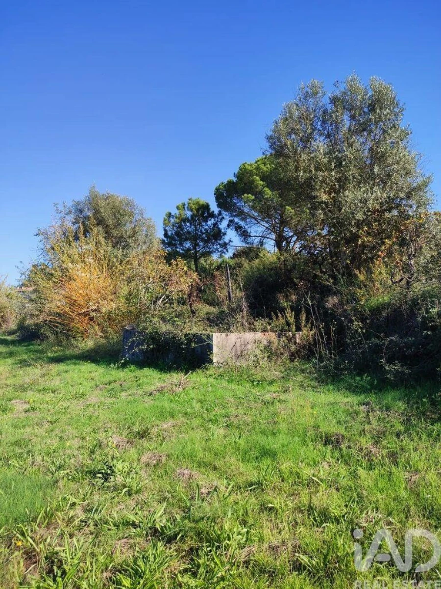 Moradia T2 para Venda em Midões Foto 10