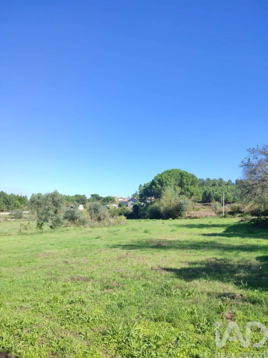 Moradia T2 para Venda em Midões Foto 8