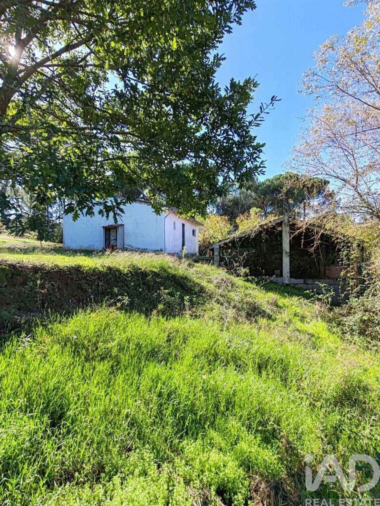 Moradia T2 para Venda em Midões Foto 5